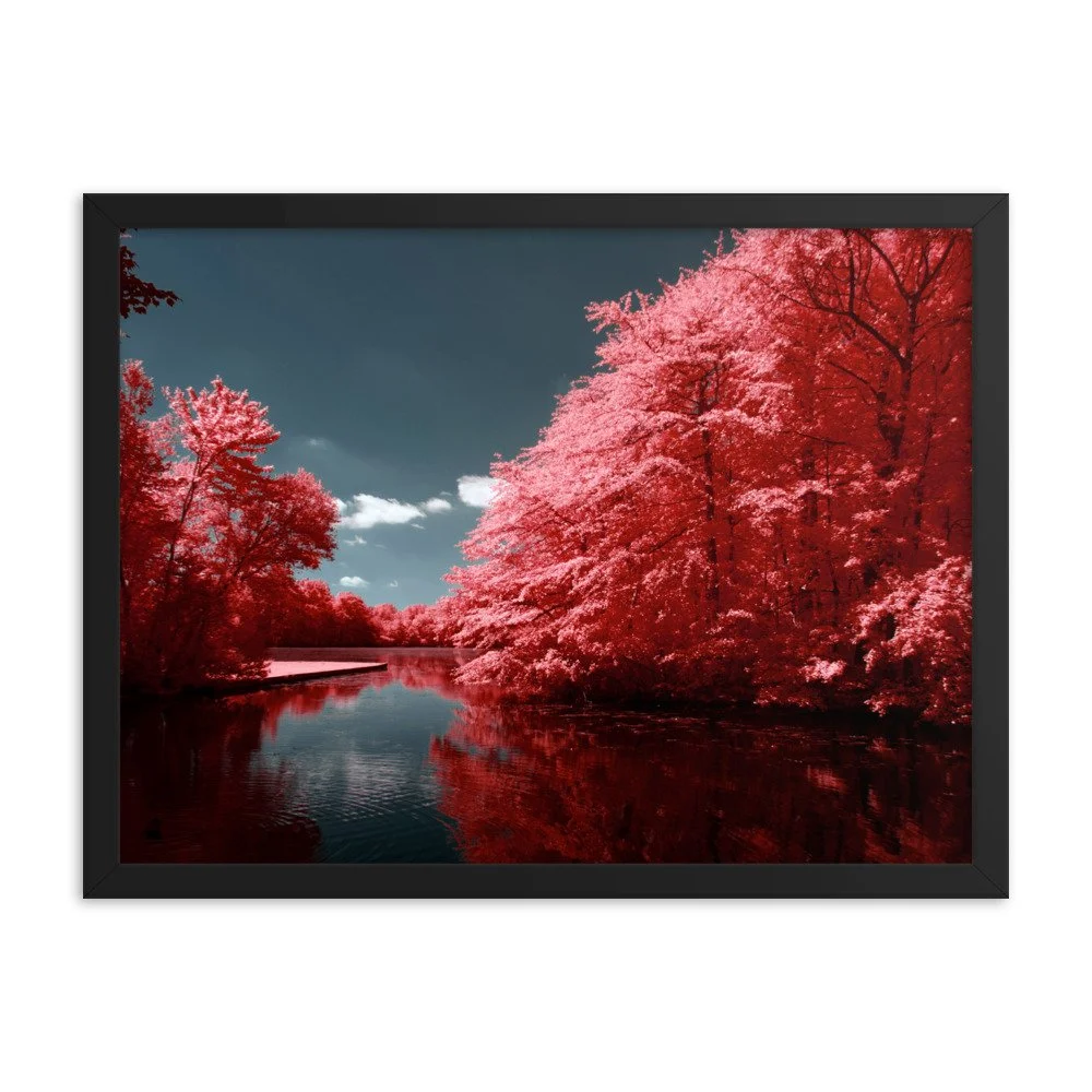 enhanced-matte-paper-framed-poster-(in)-black-18x24-transparent-6437601d607e4.jpg