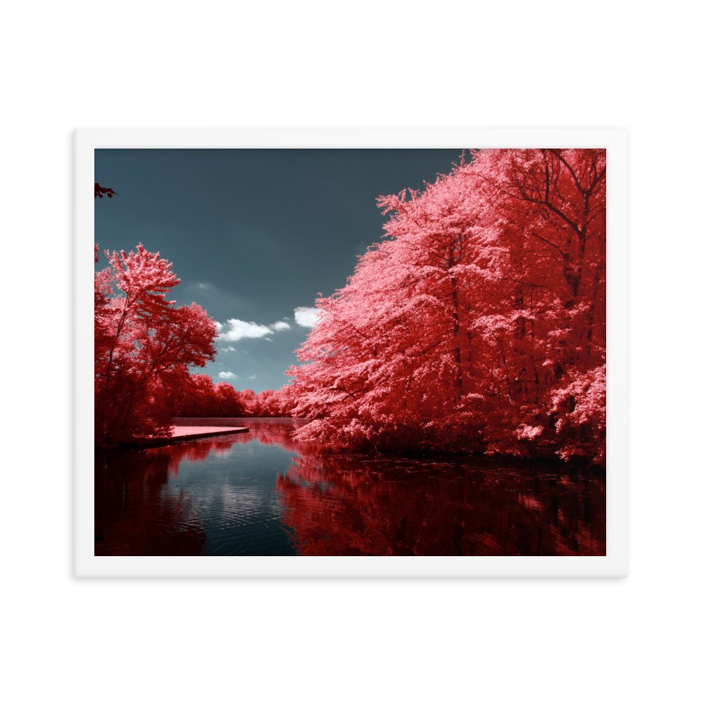 enhanced-matte-paper-framed-poster-(in)-white-16x20-transparent-6437601d608be.jpg