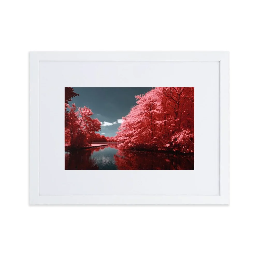 matte-paper-framed-poster-with-mat-(cm)-white-30x40-cm-transparent-6437606a9a5ac.jpg