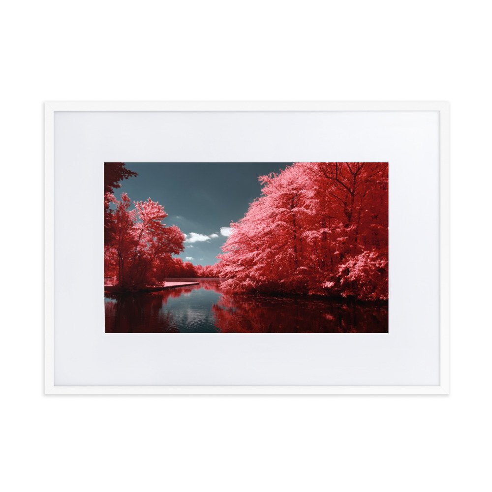 matte-paper-framed-poster-with-mat-(cm)-white-50x70-cm-transparent-6437606a9a62e.jpg