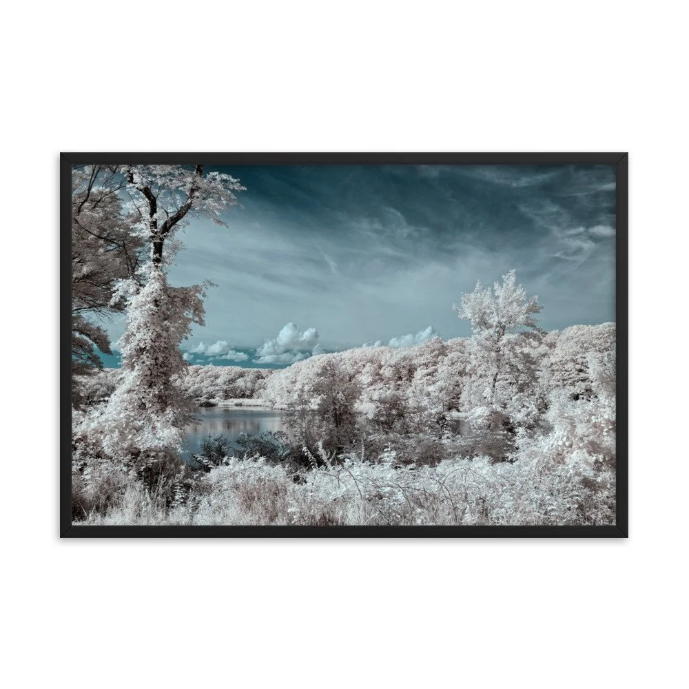 enhanced-matte-paper-framed-poster-(in)-black-24x36-transparent-64376309164b3.jpg