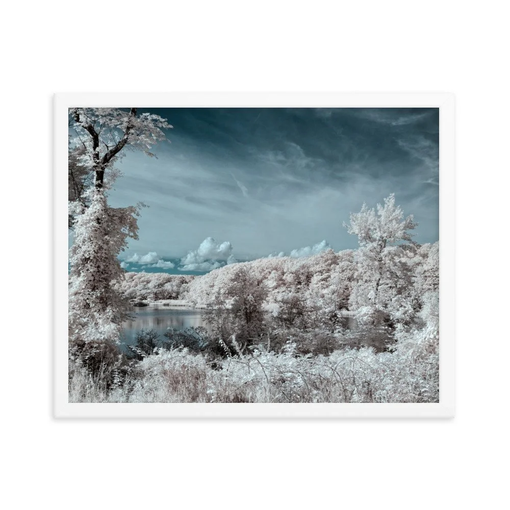 enhanced-matte-paper-framed-poster-(in)-white-16x20-transparent-643763091a07a.jpg