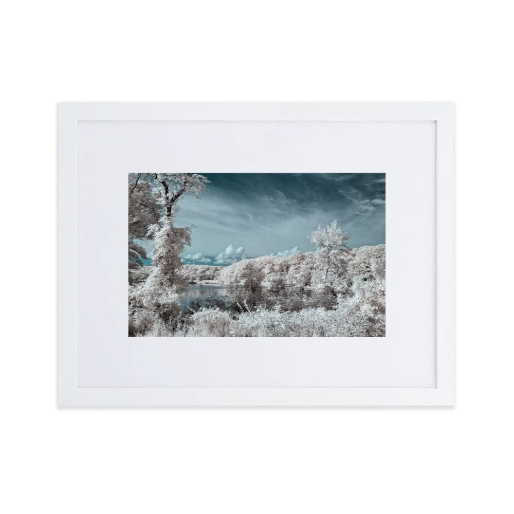 matte-paper-framed-poster-with-mat-(cm)-white-30x40-cm-transparent-6437635db35a5.jpg