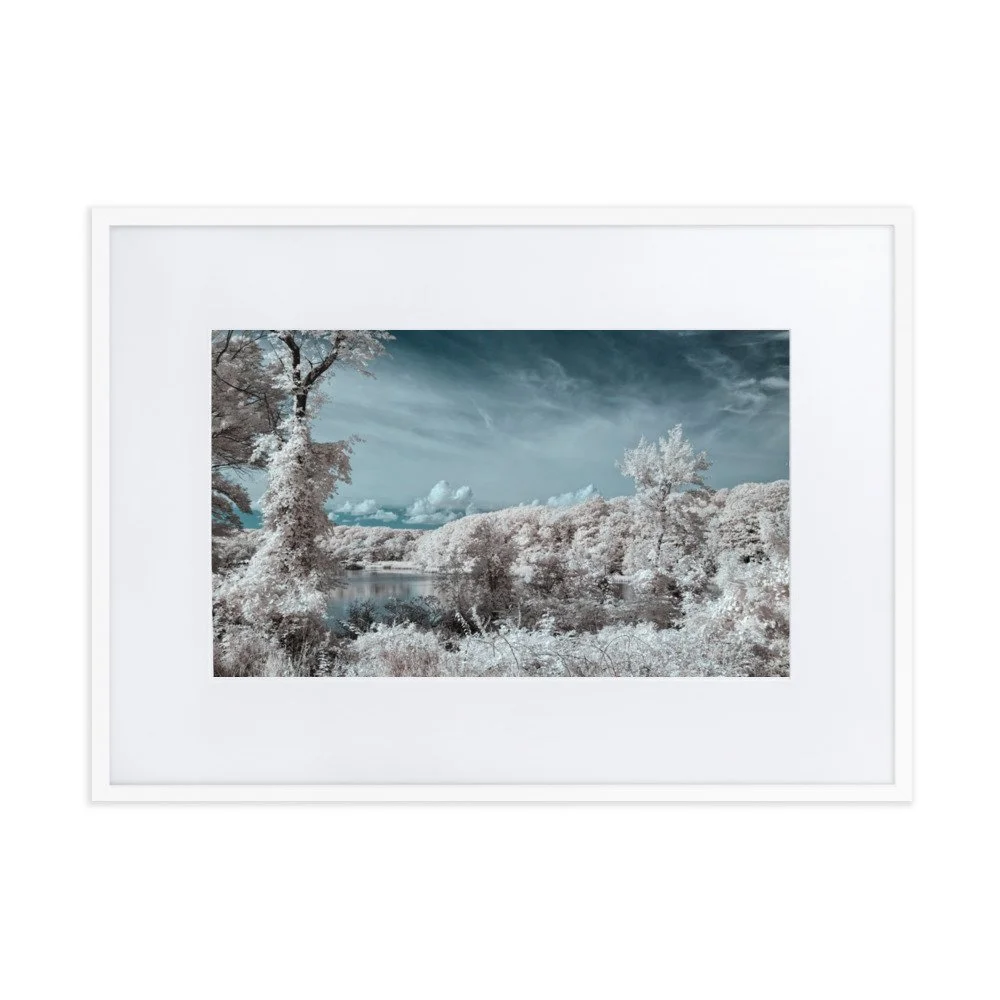 matte-paper-framed-poster-with-mat-(cm)-white-50x70-cm-transparent-6437635db35f1.jpg