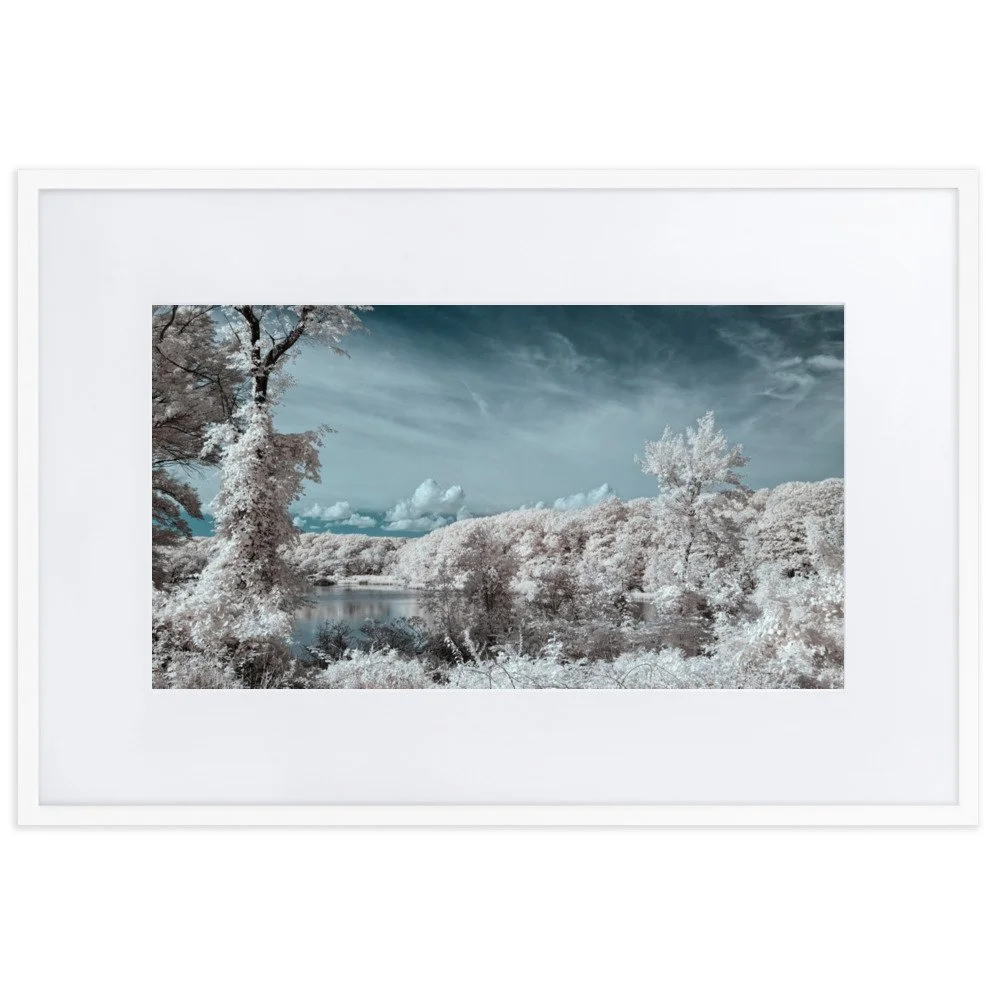 matte-paper-framed-poster-with-mat-(cm)-white-61x91-cm-transparent-6437635db363b.jpg