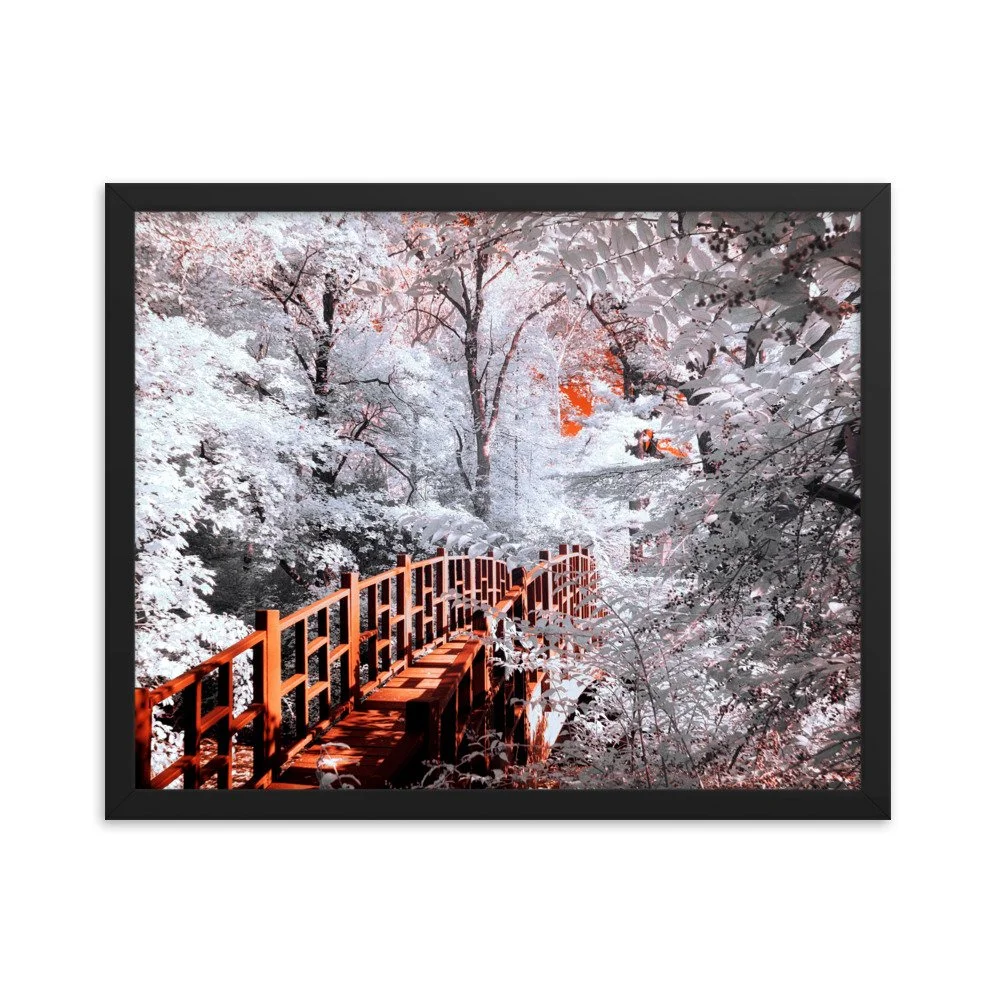 enhanced-matte-paper-framed-poster-(in)-black-16x20-transparent-6438c4824219f.jpg