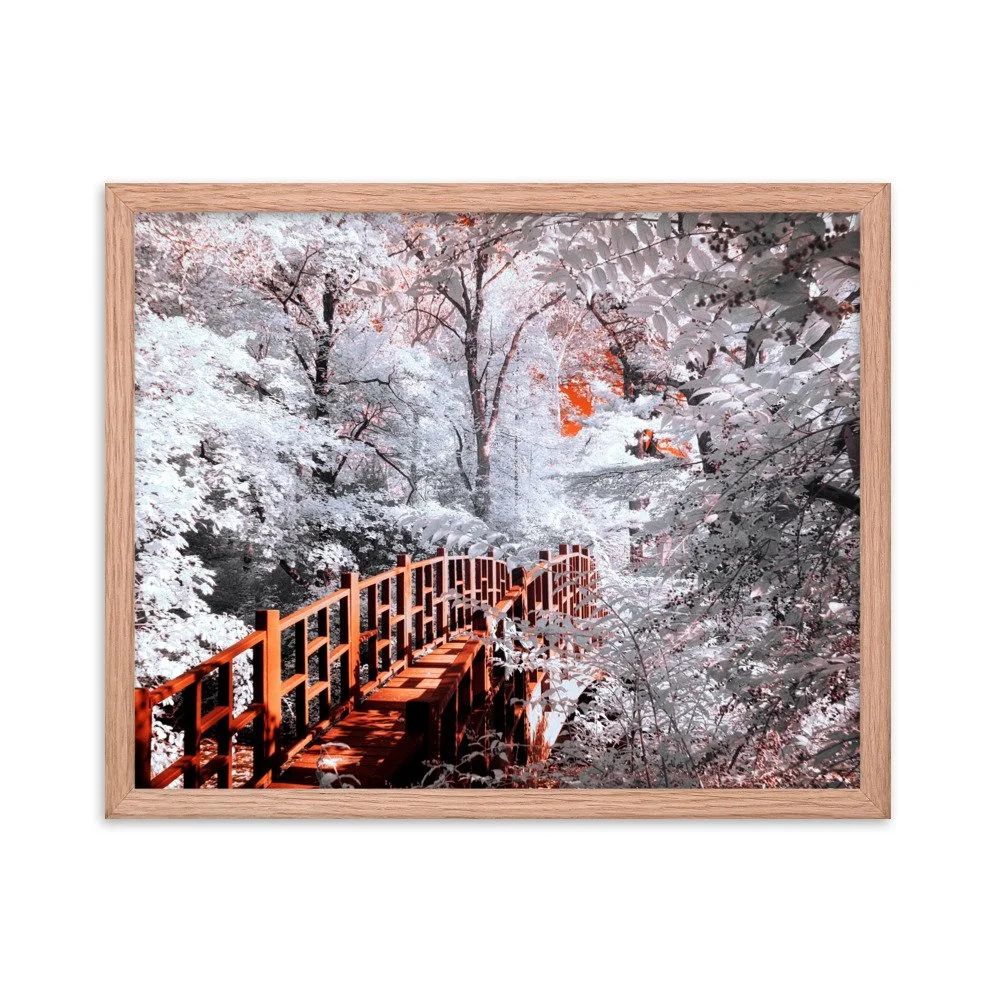 enhanced-matte-paper-framed-poster-(in)-red-oak-16x20-transparent-6438c482422d7.jpg