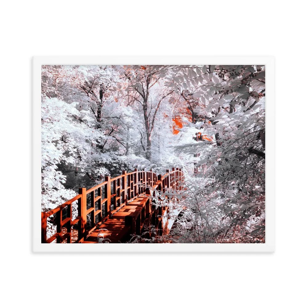 enhanced-matte-paper-framed-poster-(in)-white-16x20-transparent-6438c48242437.jpg