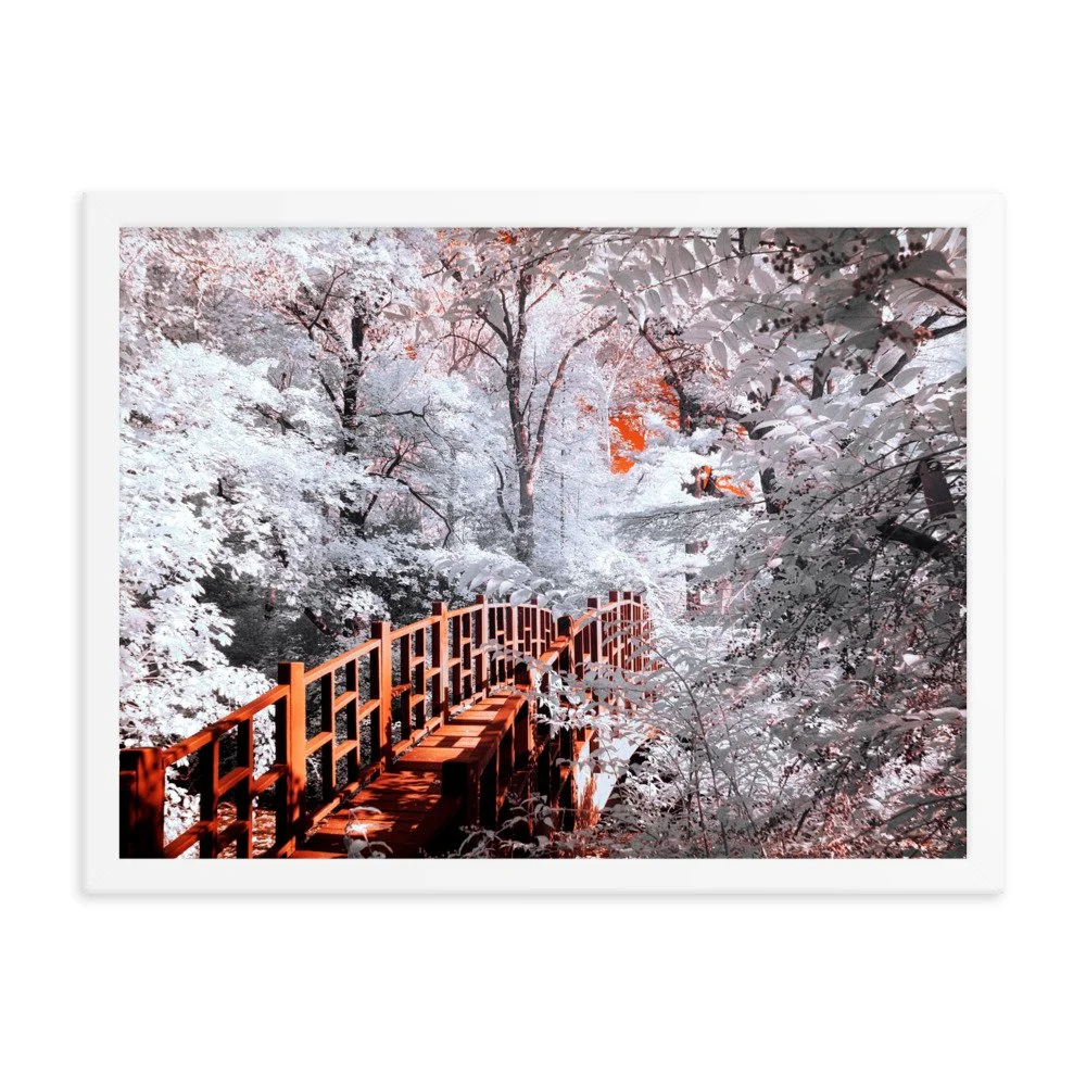 enhanced-matte-paper-framed-poster-(in)-white-18x24-transparent-6438c4824248e.jpg