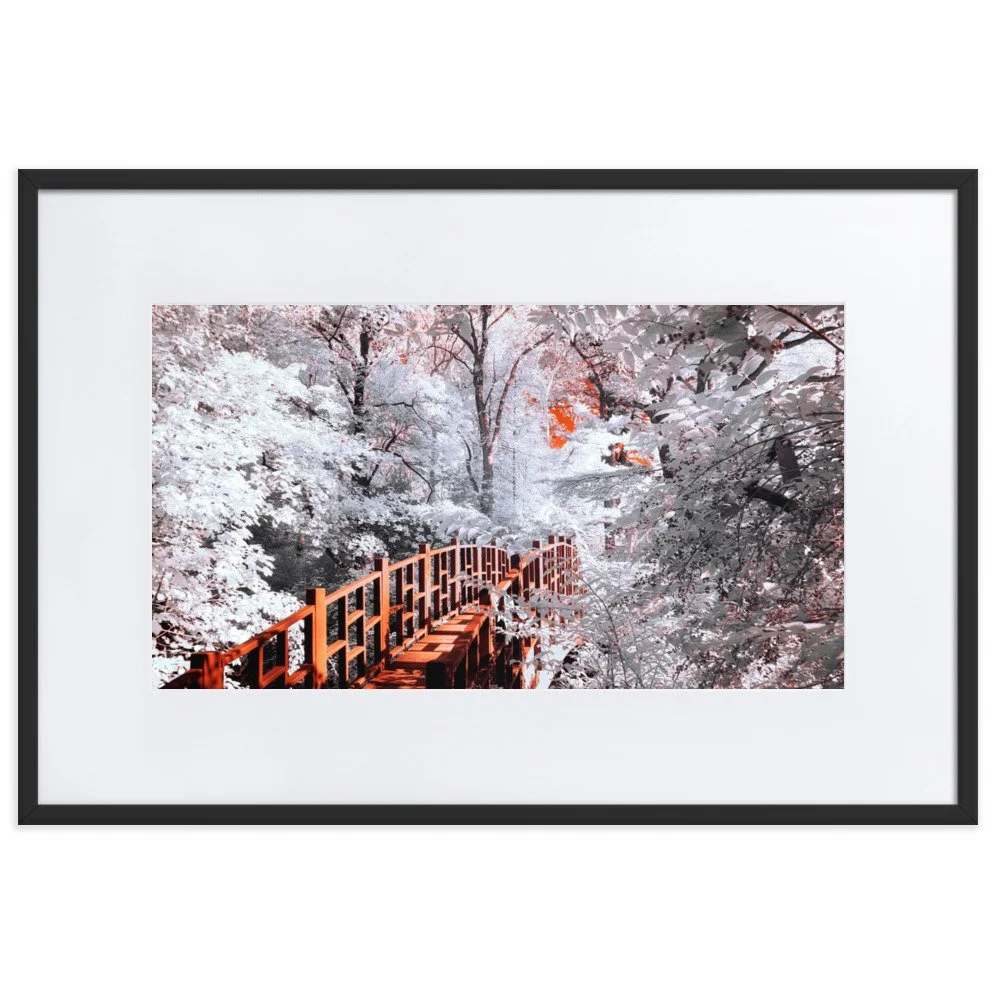 matte-paper-framed-poster-with-mat-(cm)-black-61x91-cm-transparent-6438c59ed5686.jpg