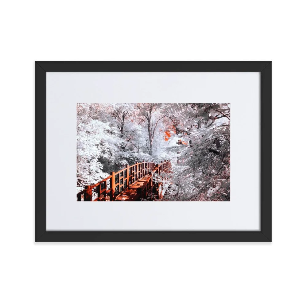 matte-paper-framed-poster-with-mat-(cm)-black-30x40-cm-transparent-6438c59ed622d.jpg