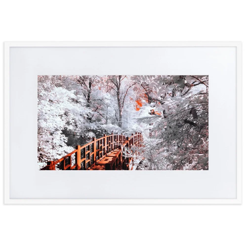 matte-paper-framed-poster-with-mat-(cm)-white-61x91-cm-transparent-6438c59ed63af.jpg