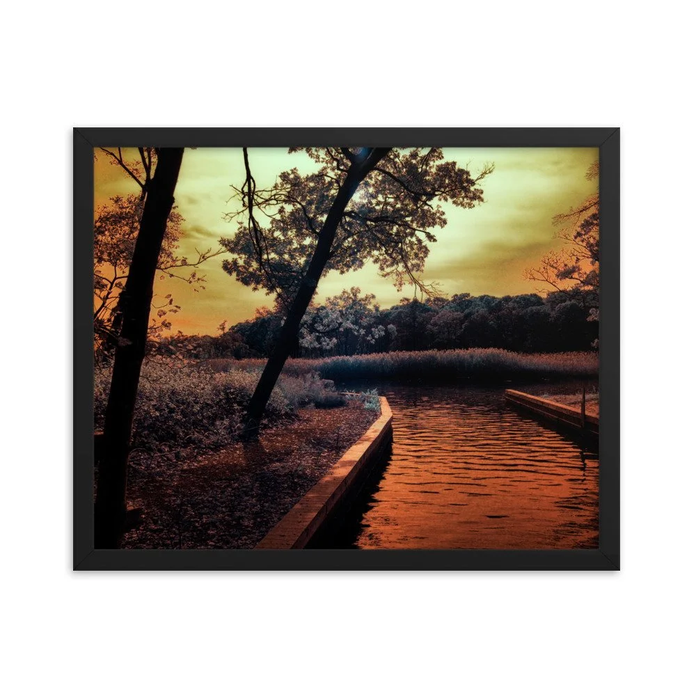 enhanced-matte-paper-framed-poster-(in)-black-16x20-transparent-6438c699d465a.jpg