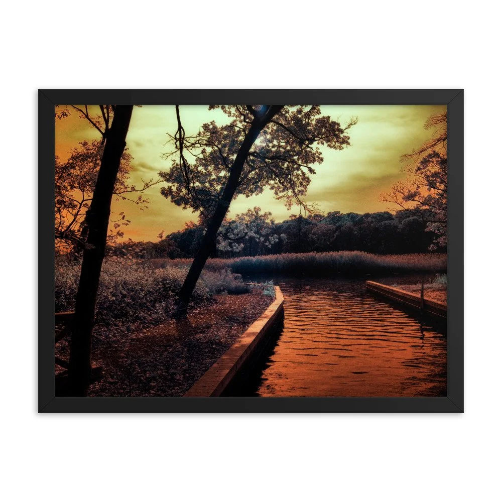 enhanced-matte-paper-framed-poster-(in)-black-18x24-transparent-6438c699d46bb.jpg