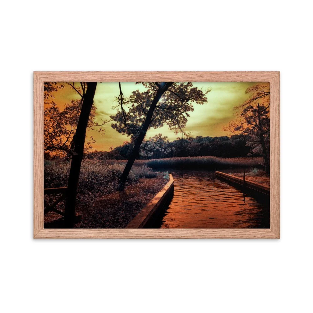enhanced-matte-paper-framed-poster-(in)-red-oak-12x18-transparent-6438c699d473f.jpg