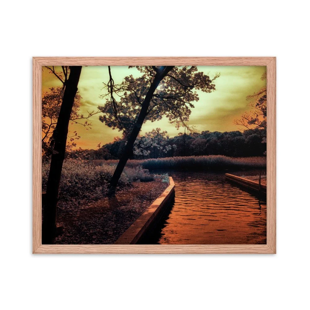 enhanced-matte-paper-framed-poster-(in)-red-oak-16x20-transparent-6438c699d4796.jpg