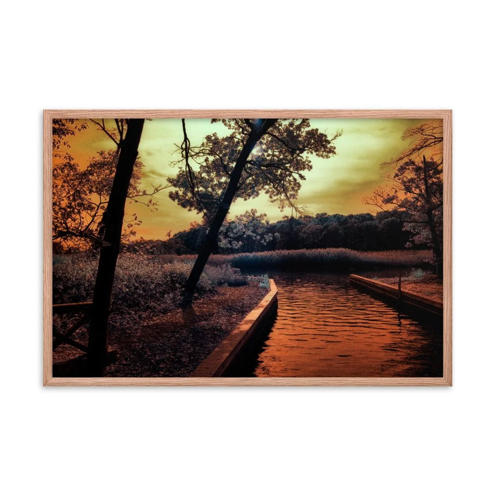enhanced-matte-paper-framed-poster-(in)-red-oak-24x36-transparent-6438c699d4844.jpg