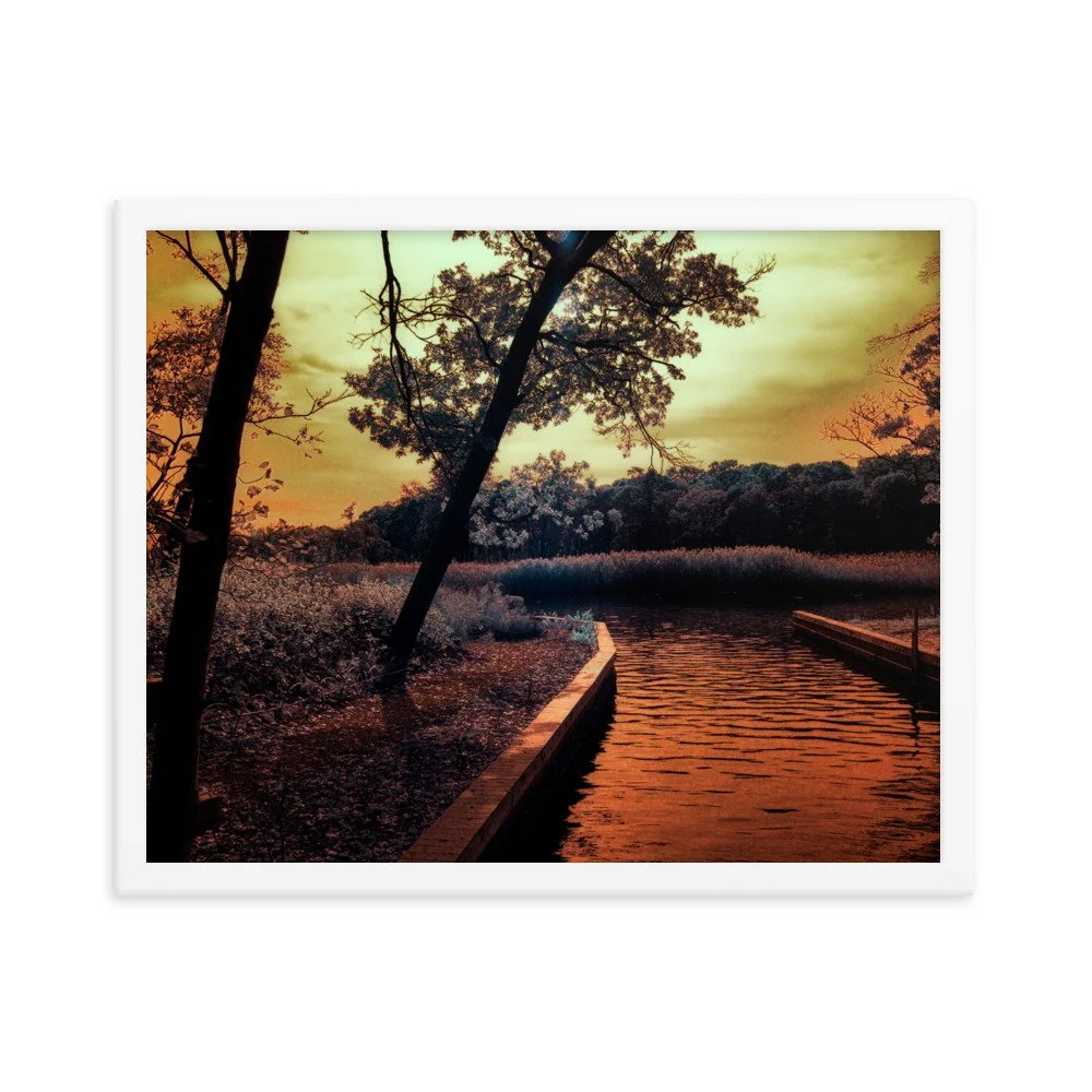 enhanced-matte-paper-framed-poster-(in)-white-16x20-transparent-6438c699d48ec.jpg