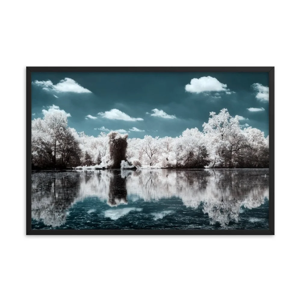 enhanced-matte-paper-framed-poster-(in)-black-24x36-transparent-6438ca7f6d5d5.jpg