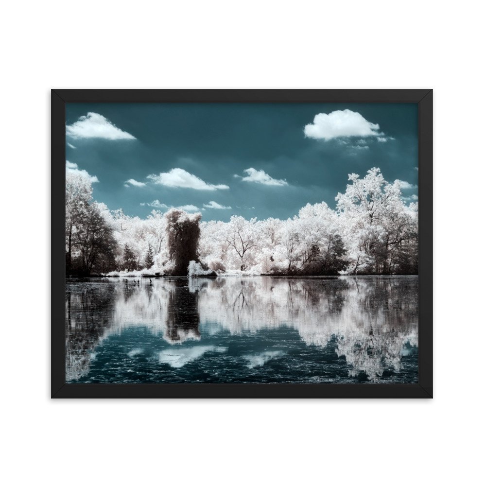 enhanced-matte-paper-framed-poster-(in)-black-16x20-transparent-6438ca7f6e2d4.jpg