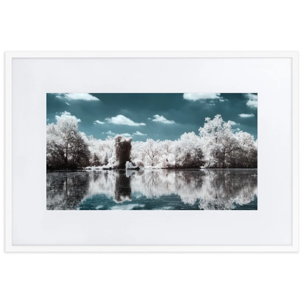 matte-paper-framed-poster-with-mat-(cm)-white-61x91-cm-transparent-6438cafd5a1da.jpg