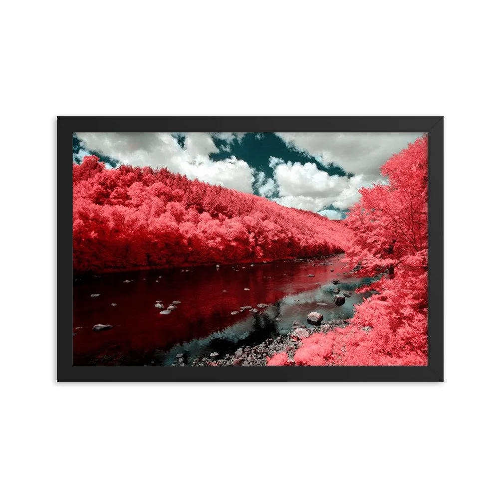 enhanced-matte-paper-framed-poster-(in)-black-12x18-transparent-6439905b85b59.jpg