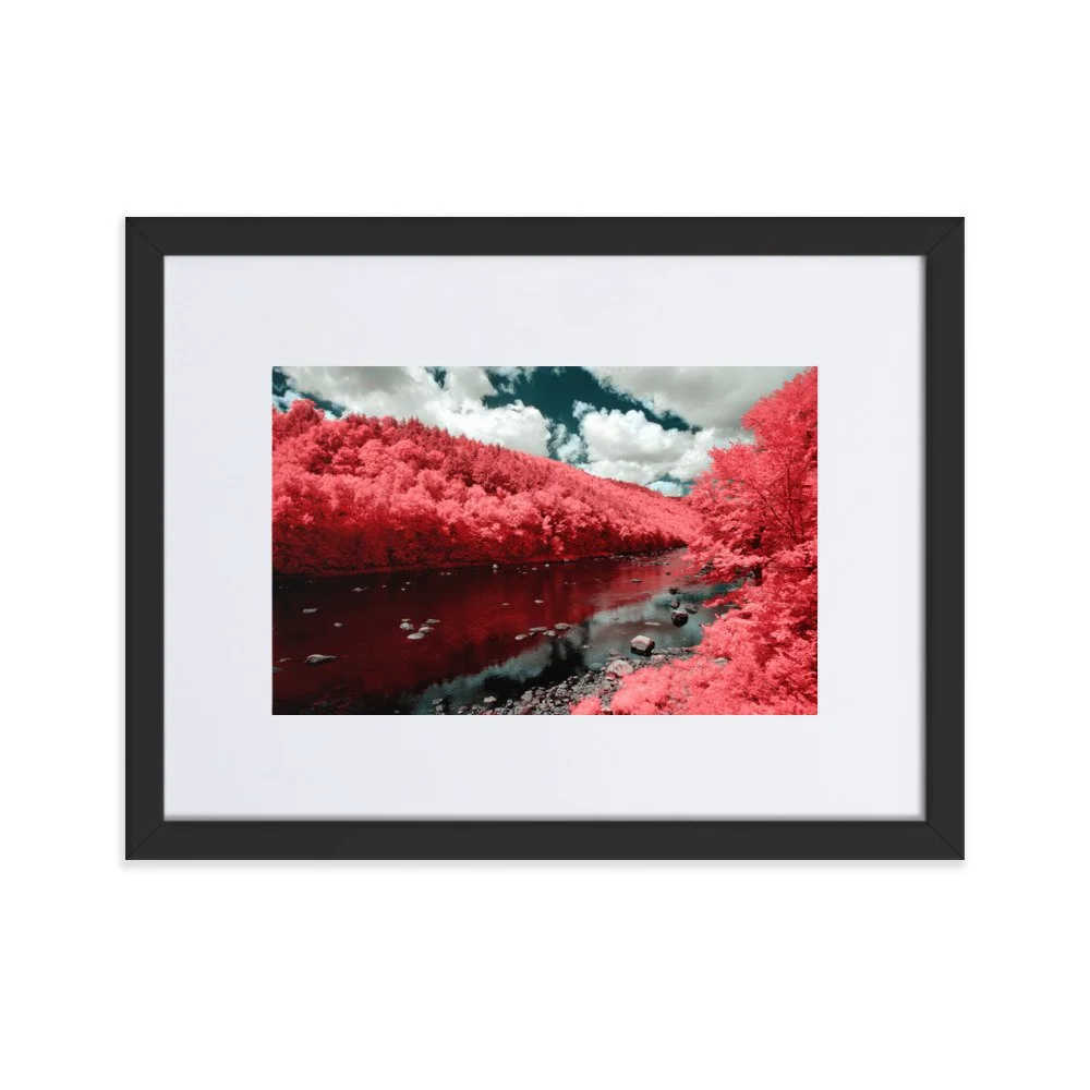 matte-paper-framed-poster-with-mat-(cm)-black-30x40-cm-transparent-643990e9c0084.jpg