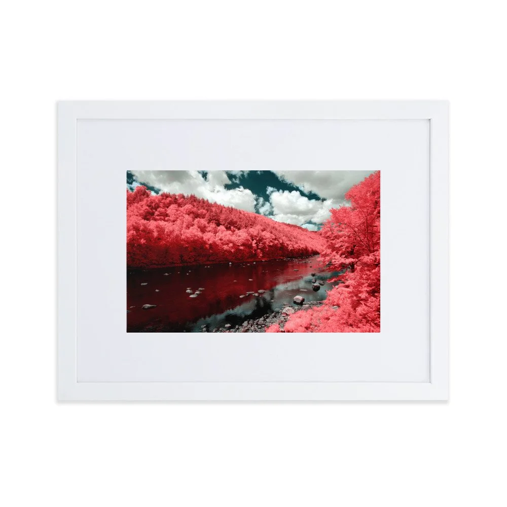 matte-paper-framed-poster-with-mat-(cm)-white-30x40-cm-transparent-643990e9c015f.jpg
