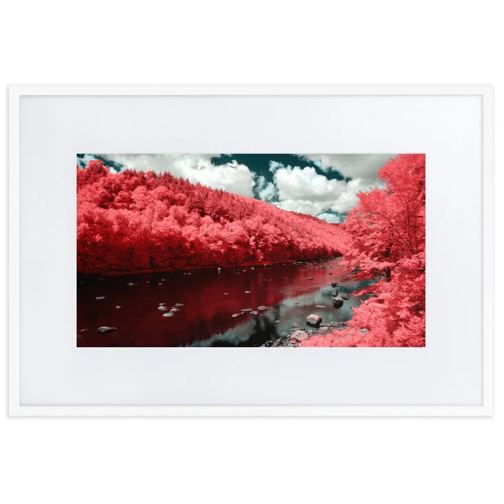 matte-paper-framed-poster-with-mat-(cm)-white-61x91-cm-transparent-643990e9c0246.jpg
