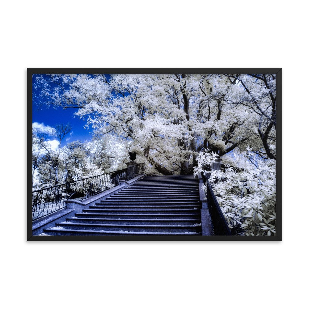 enhanced-matte-paper-framed-poster-(in)-black-24x36-transparent-643994951cb5d.jpg