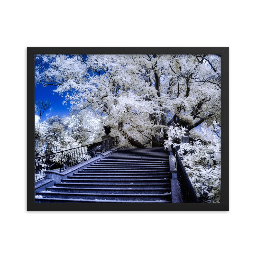 enhanced-matte-paper-framed-poster-(in)-black-16x20-transparent-643994951d828.jpg