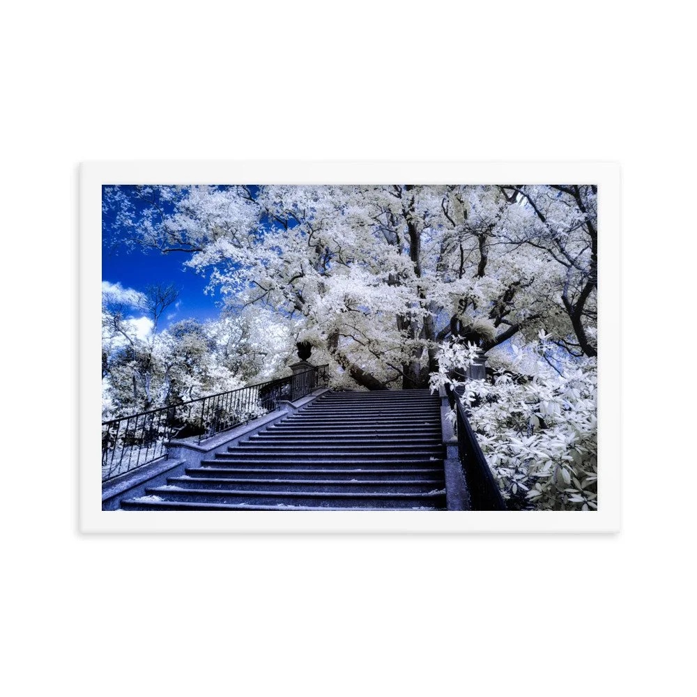 enhanced-matte-paper-framed-poster-(in)-white-12x18-transparent-643994951d909.jpg