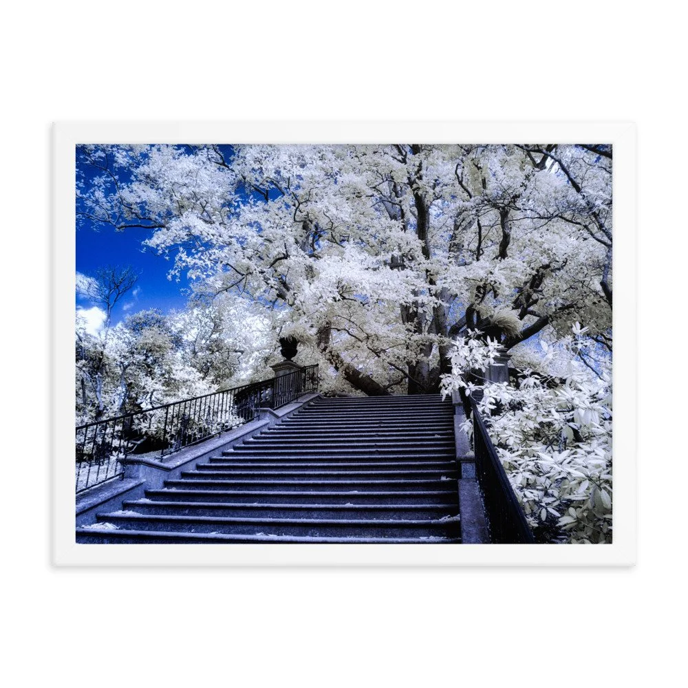 enhanced-matte-paper-framed-poster-(in)-white-18x24-transparent-643994951d9b8.jpg