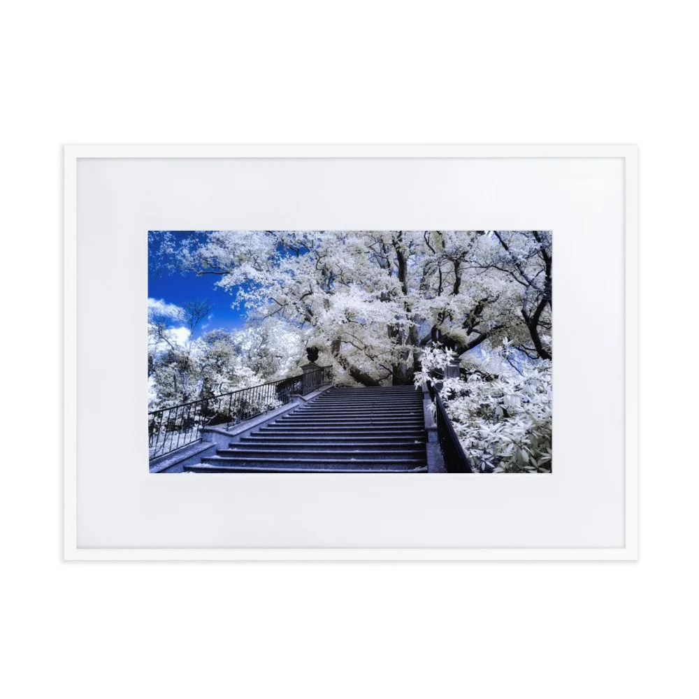 matte-paper-framed-poster-with-mat-(cm)-white-50x70-cm-transparent-6439fa5e2712a.jpg