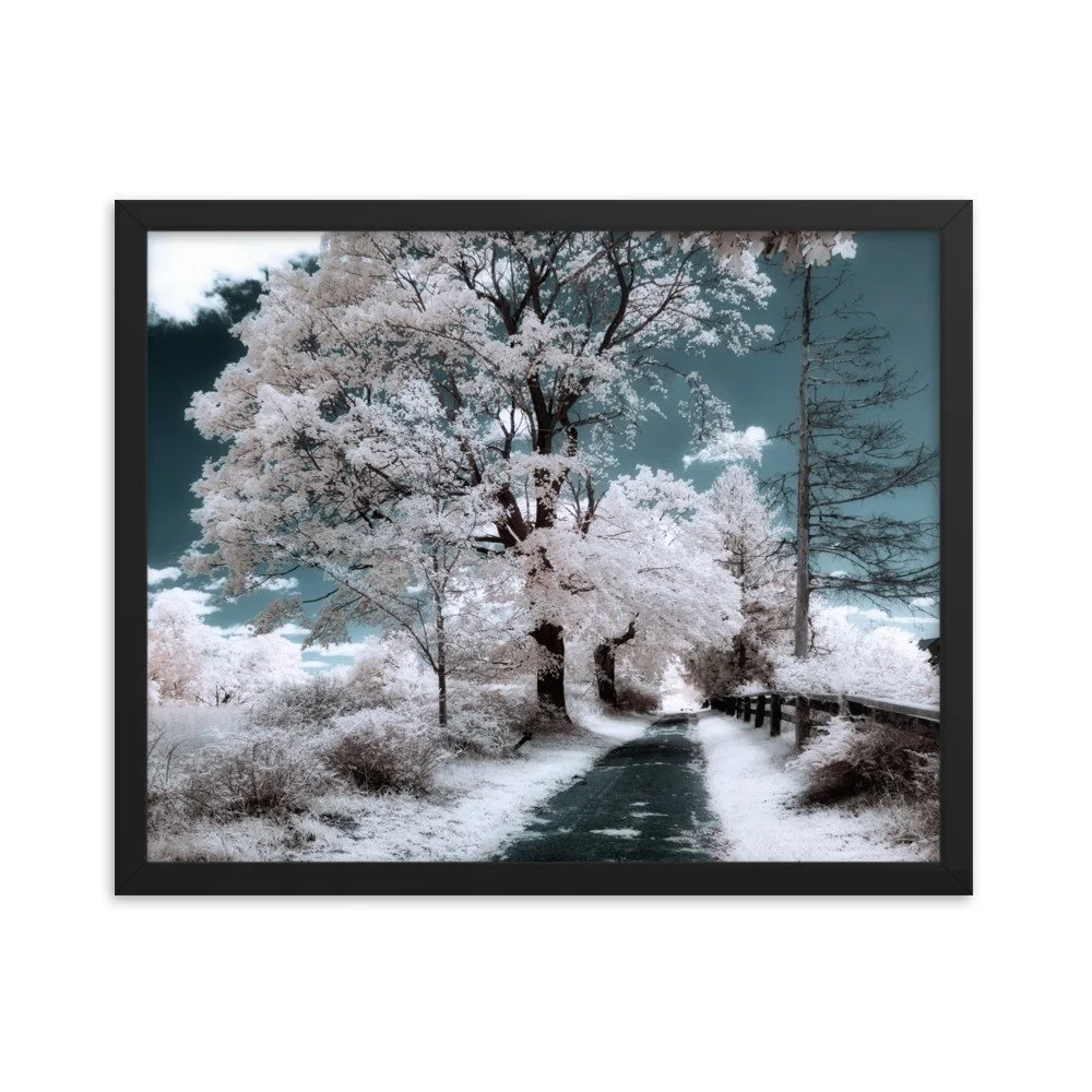 enhanced-matte-paper-framed-poster-(in)-black-16x20-transparent-643a0510825f4.jpg