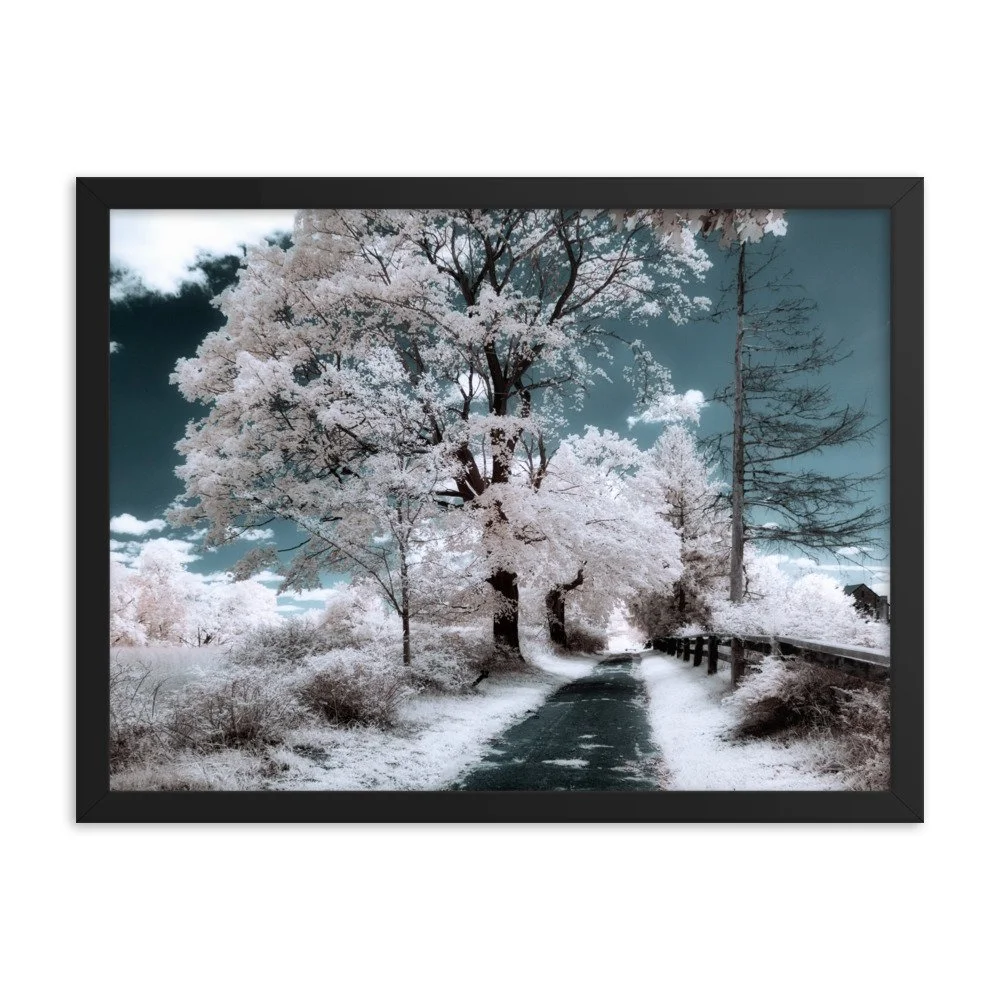 enhanced-matte-paper-framed-poster-(in)-black-18x24-transparent-643a051082661.jpg