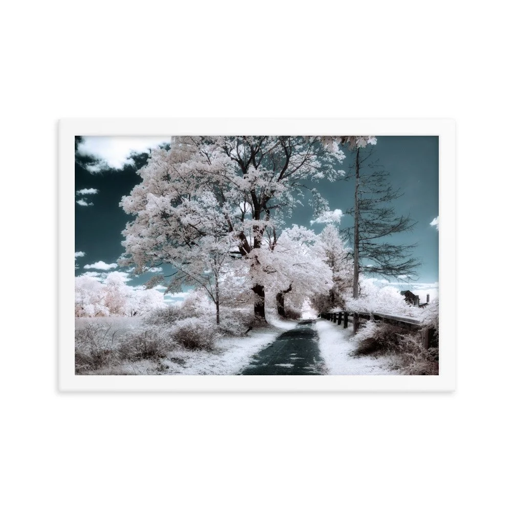 enhanced-matte-paper-framed-poster-(in)-white-12x18-transparent-643a0510826e4.jpg
