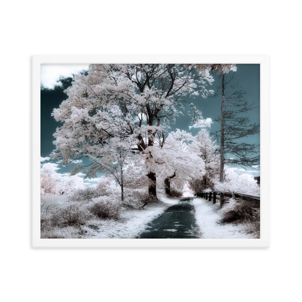 enhanced-matte-paper-framed-poster-(in)-white-16x20-transparent-643a051082739.jpg
