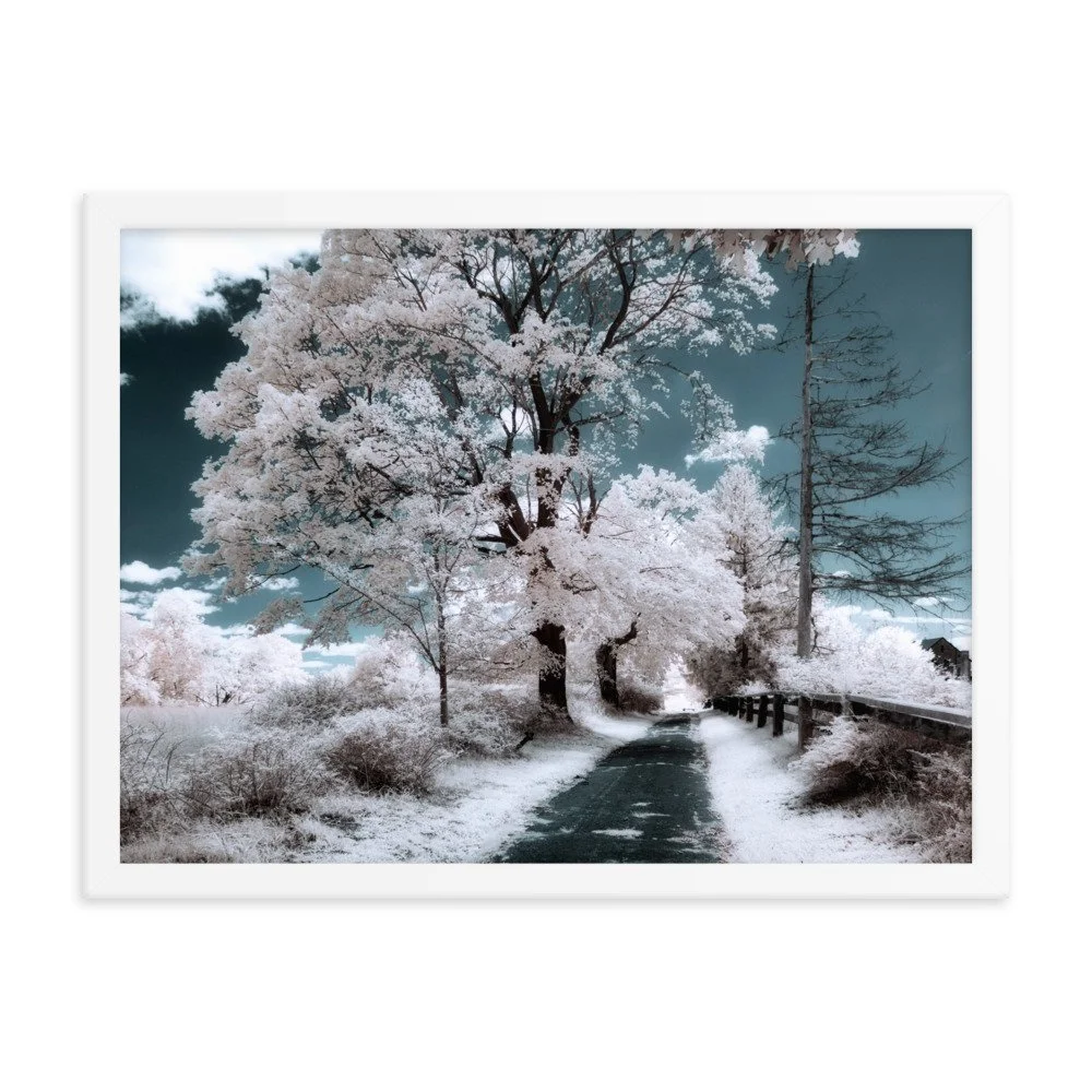 enhanced-matte-paper-framed-poster-(in)-white-18x24-transparent-643a05108278c.jpg