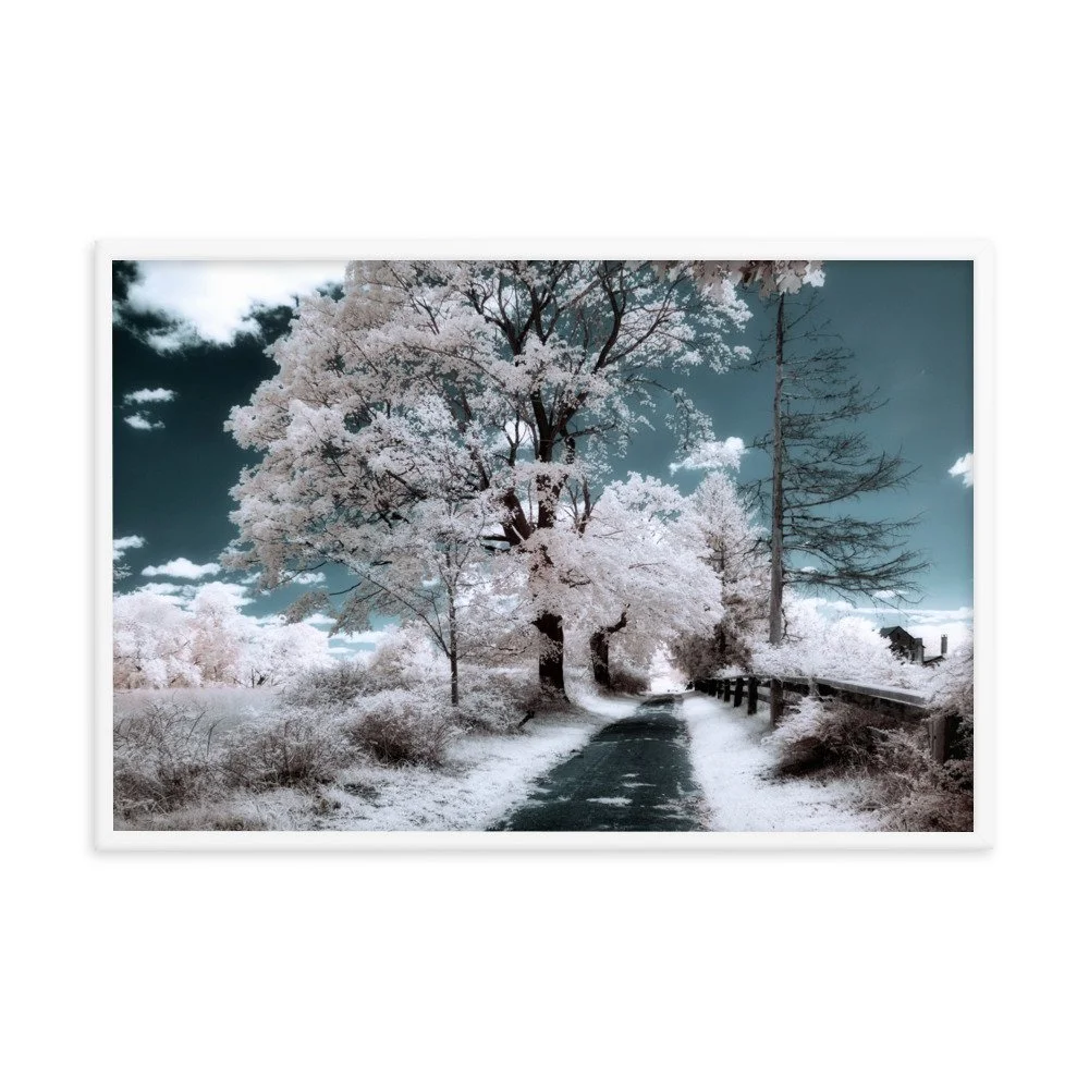 enhanced-matte-paper-framed-poster-(in)-white-24x36-transparent-643a0510827e1.jpg