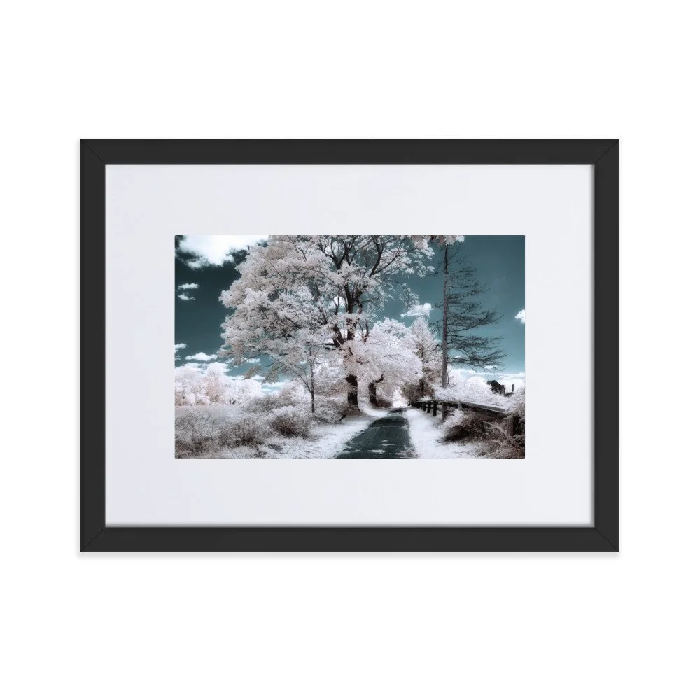 matte-paper-framed-poster-with-mat-(cm)-black-30x40-cm-transparent-643a0541771f6.jpg