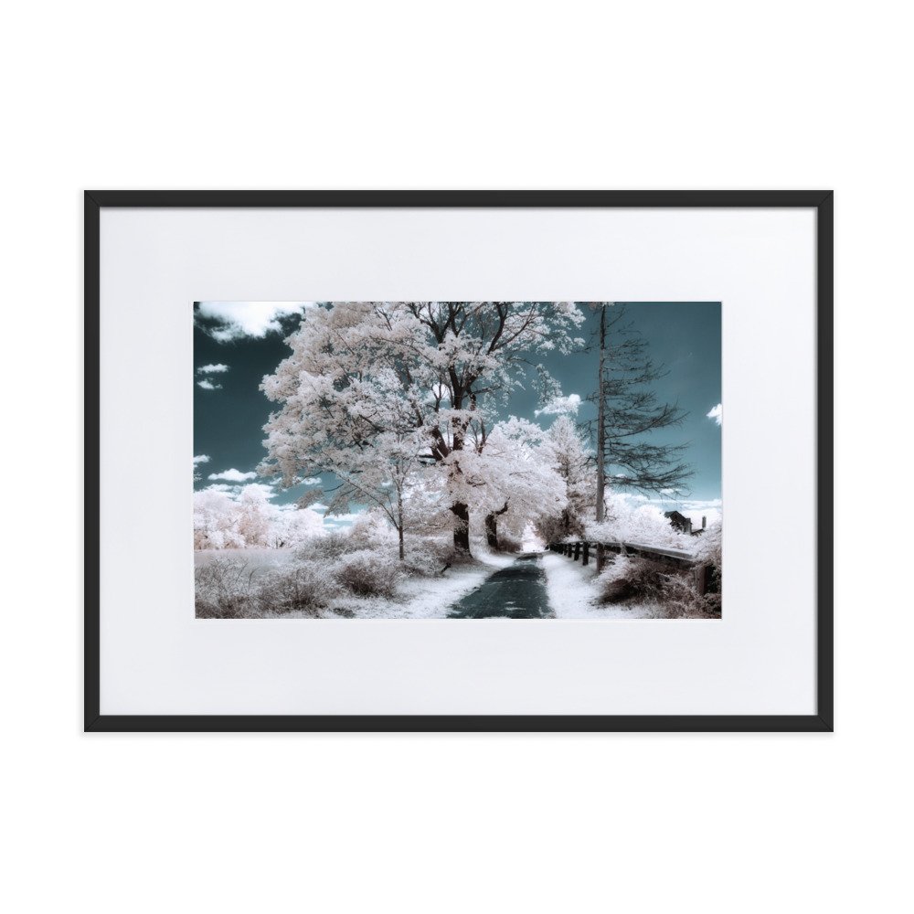 matte-paper-framed-poster-with-mat-(cm)-black-50x70-cm-transparent-643a05417729c.jpg
