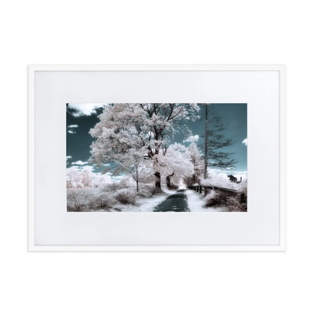 matte-paper-framed-poster-with-mat-(cm)-white-50x70-cm-transparent-643a0541773bf.jpg