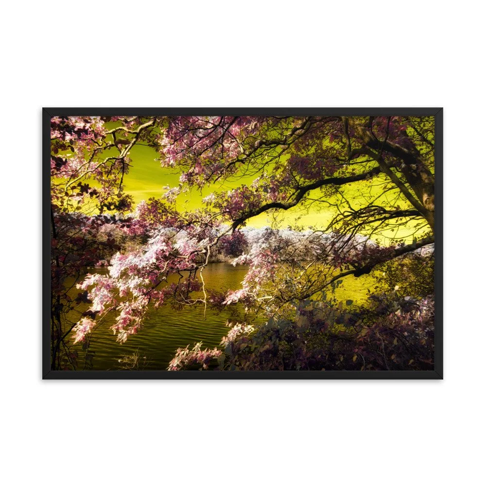 enhanced-matte-paper-framed-poster-(in)-black-24x36-transparent-643a190baa0db.jpg