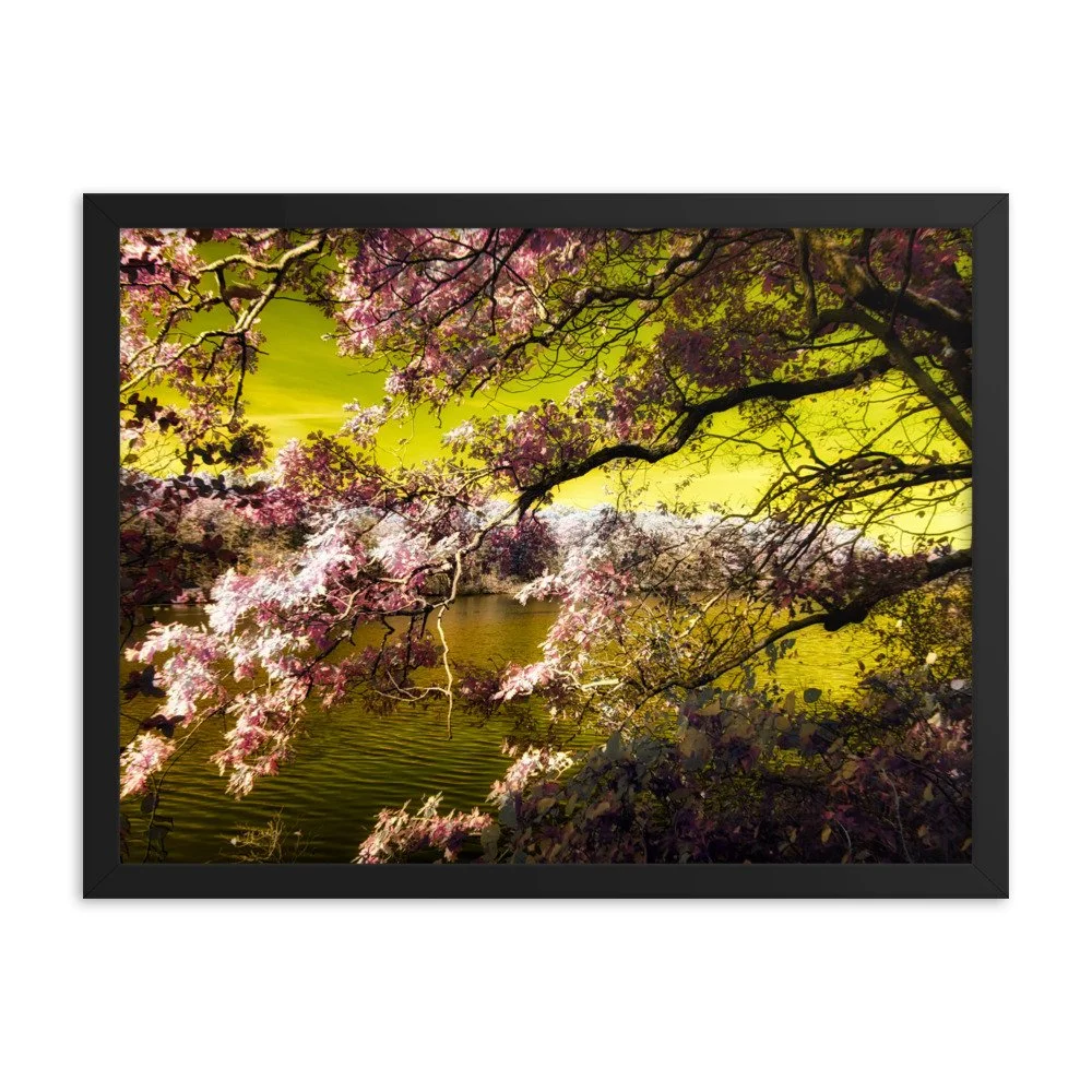 enhanced-matte-paper-framed-poster-(in)-black-18x24-transparent-643a190bab0c3.jpg