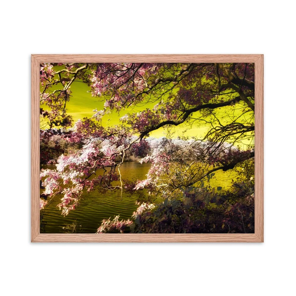 enhanced-matte-paper-framed-poster-(in)-red-oak-16x20-transparent-643a190bab207.jpg