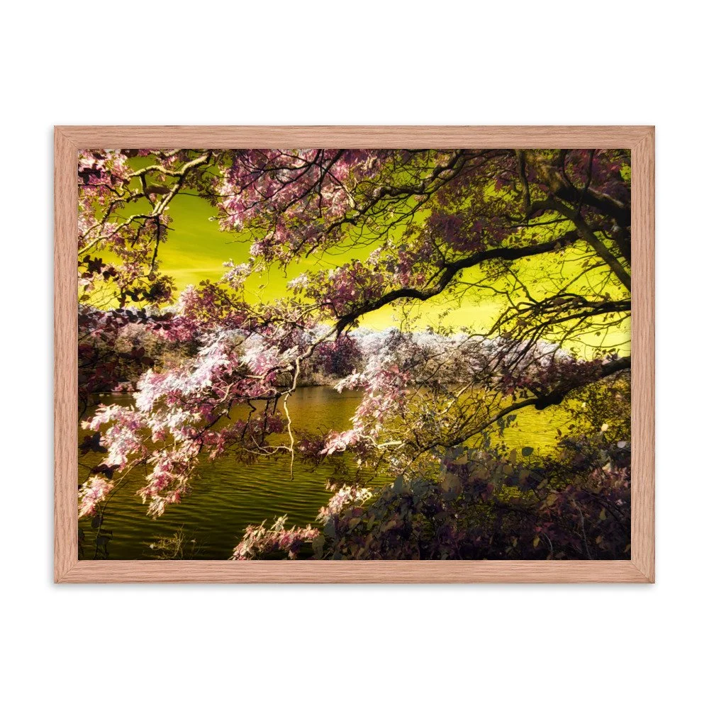 enhanced-matte-paper-framed-poster-(in)-red-oak-18x24-transparent-643a190bab263.jpg