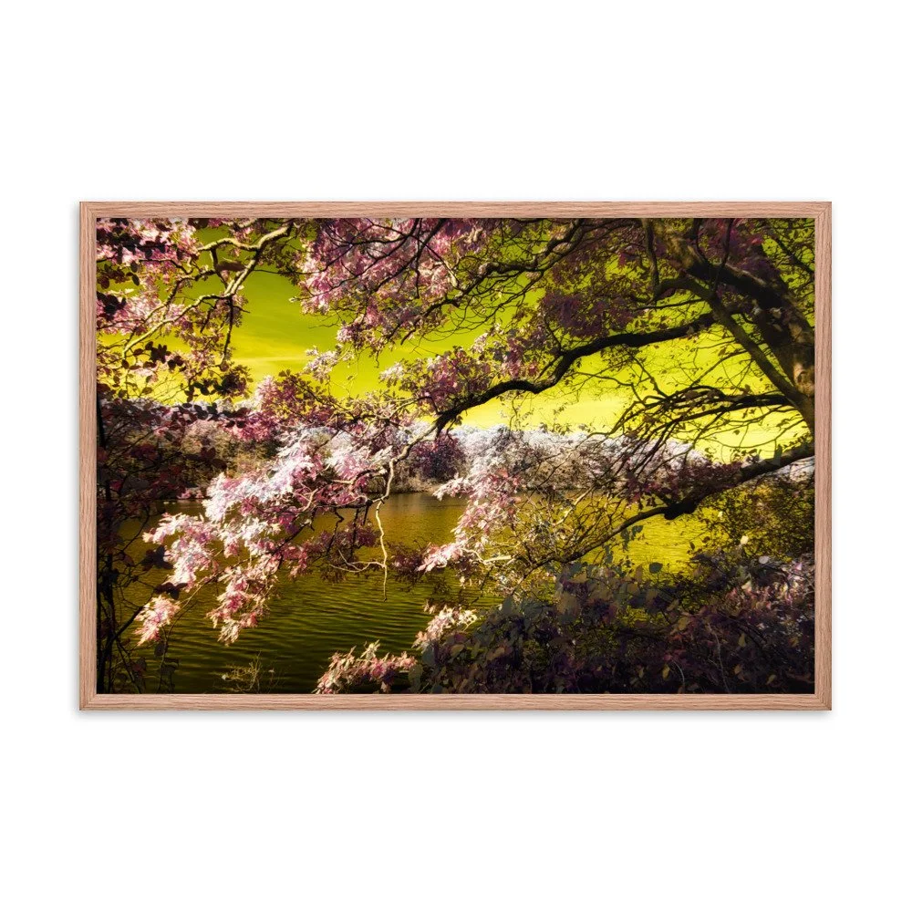 enhanced-matte-paper-framed-poster-(in)-red-oak-24x36-transparent-643a190bab2b9.jpg