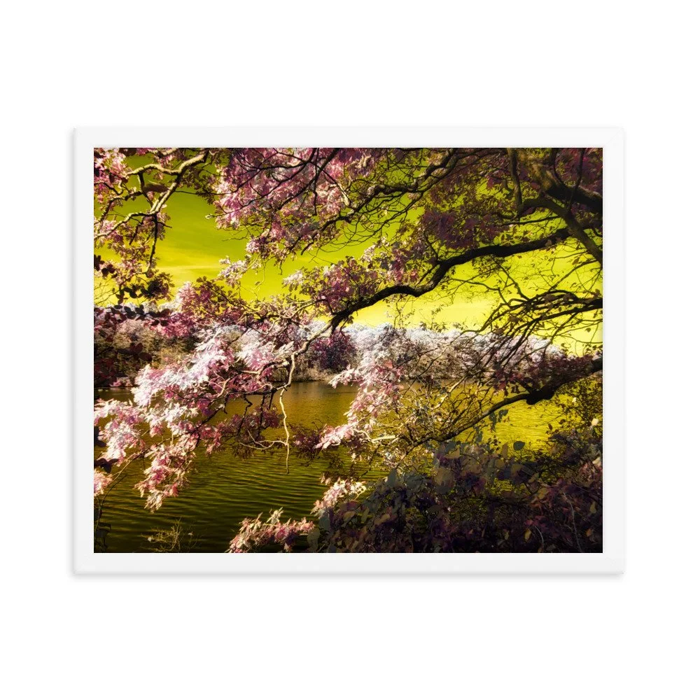 enhanced-matte-paper-framed-poster-(in)-white-16x20-transparent-643a190bab364.jpg