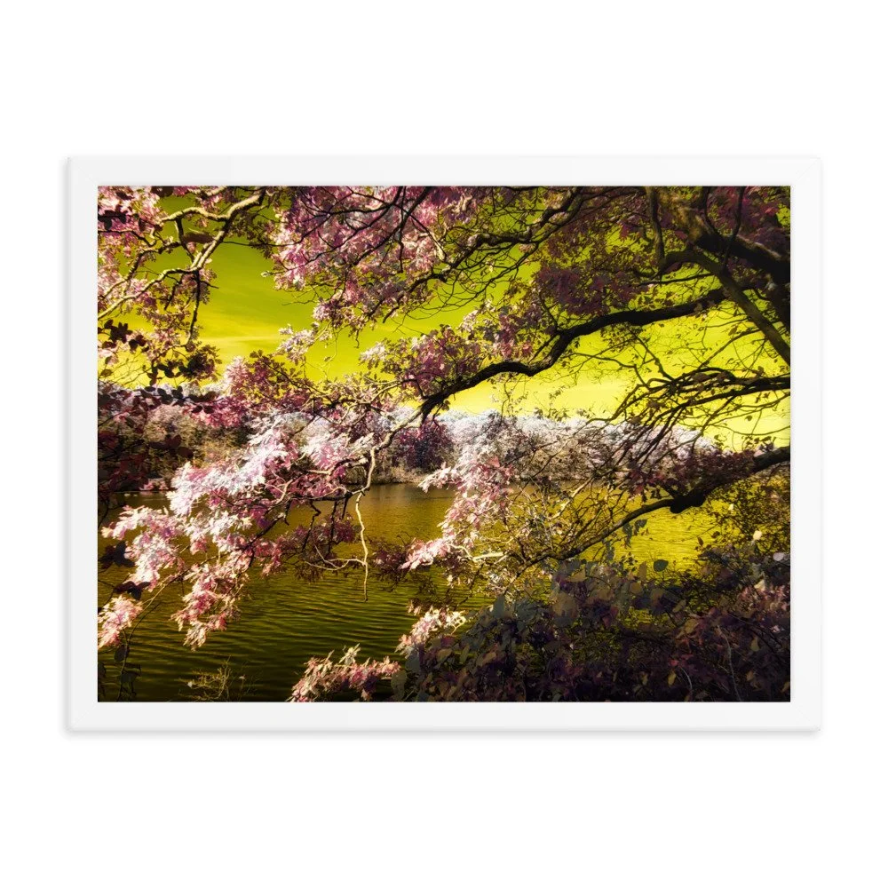 enhanced-matte-paper-framed-poster-(in)-white-18x24-transparent-643a190bab3b9.jpg